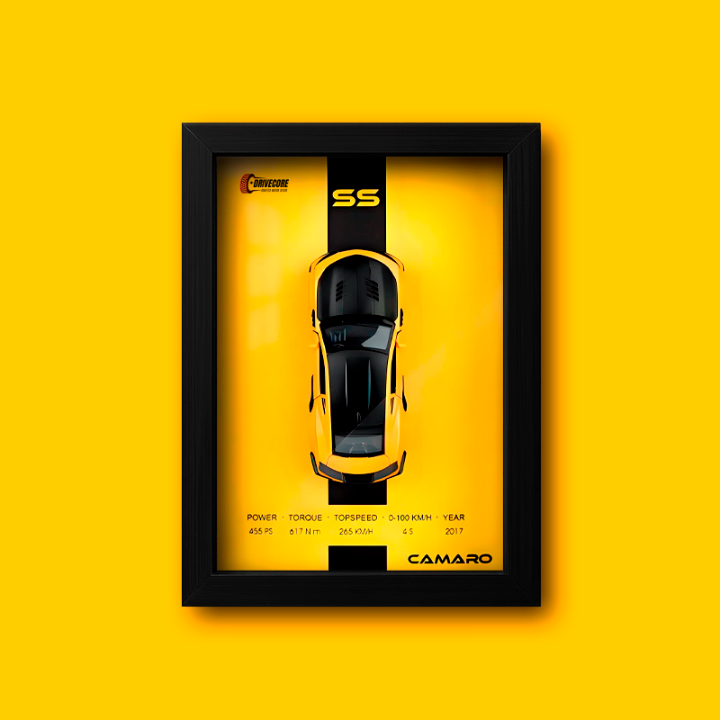 The Icon Frame 3D Garage